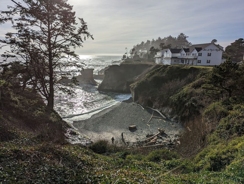 Whale Watching Capital of the Oregon Coast