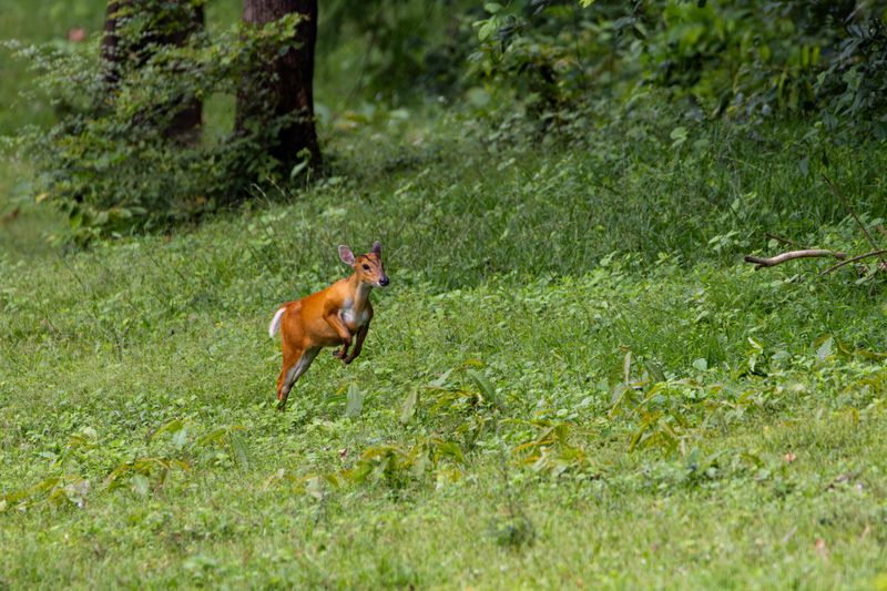 Wildlife Feels Closer