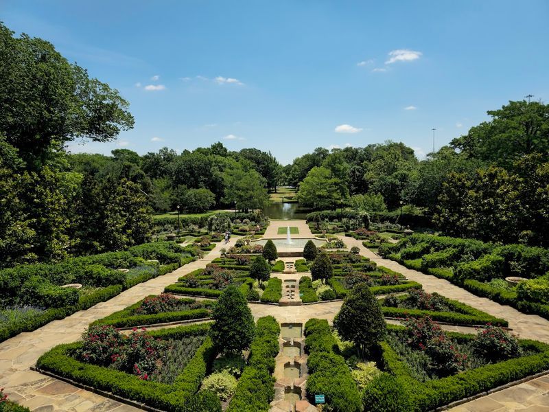 The Rose Garden and Its Timeless Appeal
