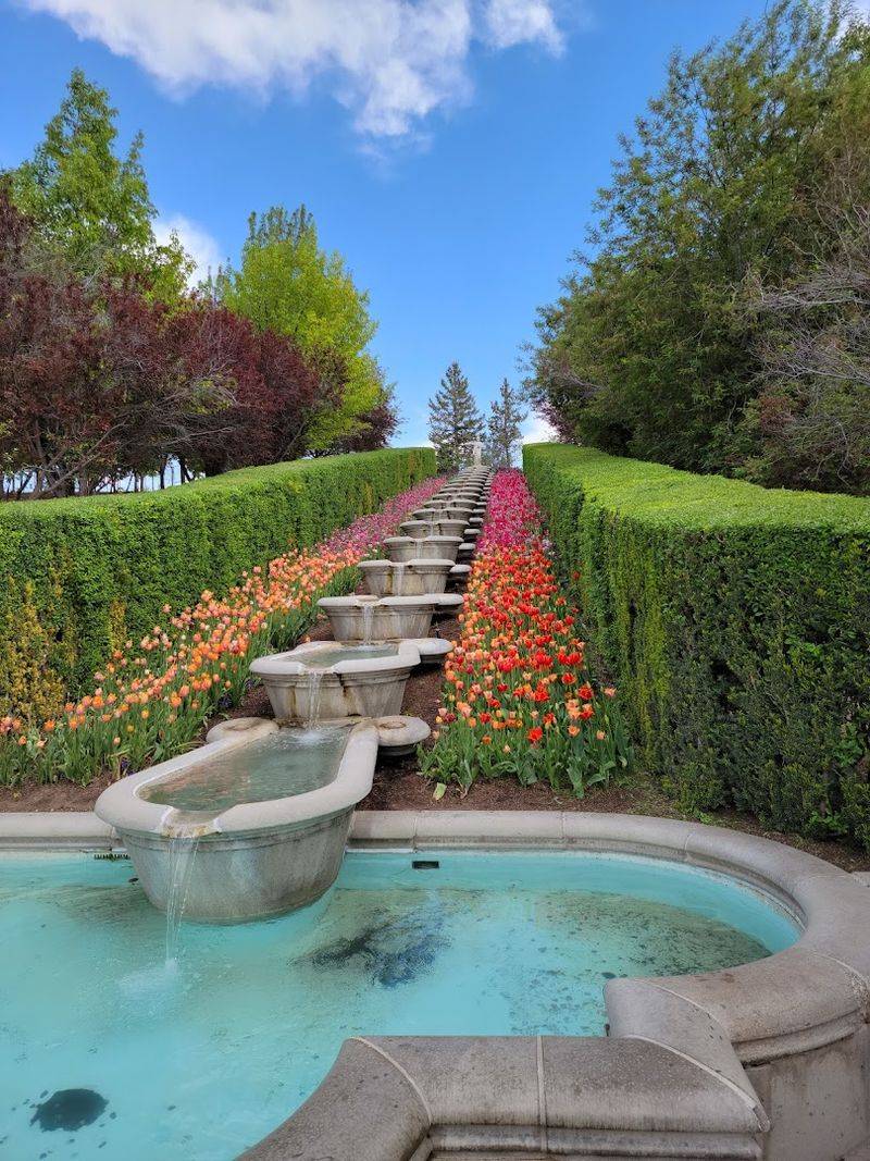 Garden Views Keep Cameras Busy All Day