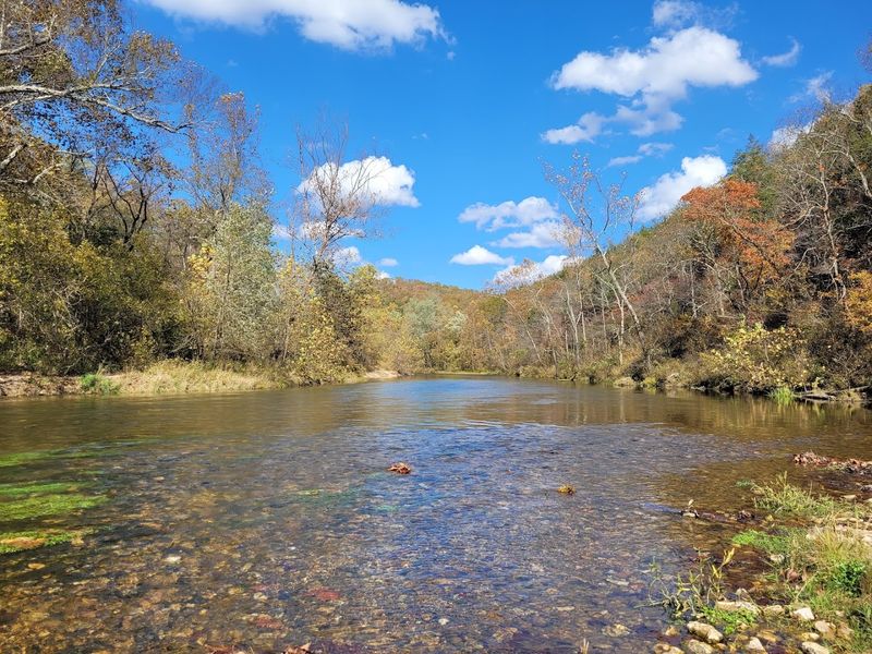 Wildlife Watching Beyond the Wild Horses