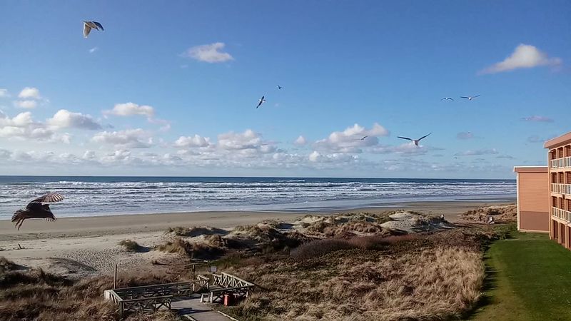 Spring Rates That Actually Make Sense