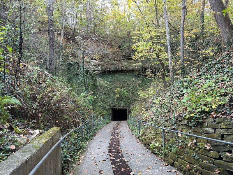Bluespring Caverns Park