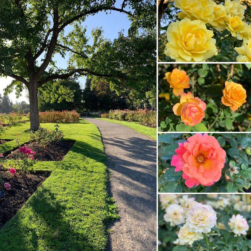 Free Admission and Family-Friendly Access