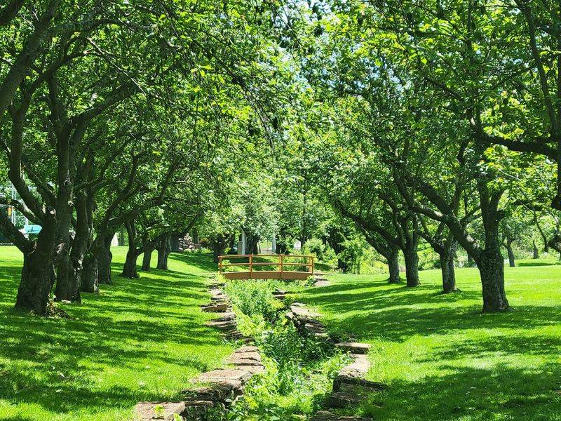 Walking Paths That Invite You to Slow Down