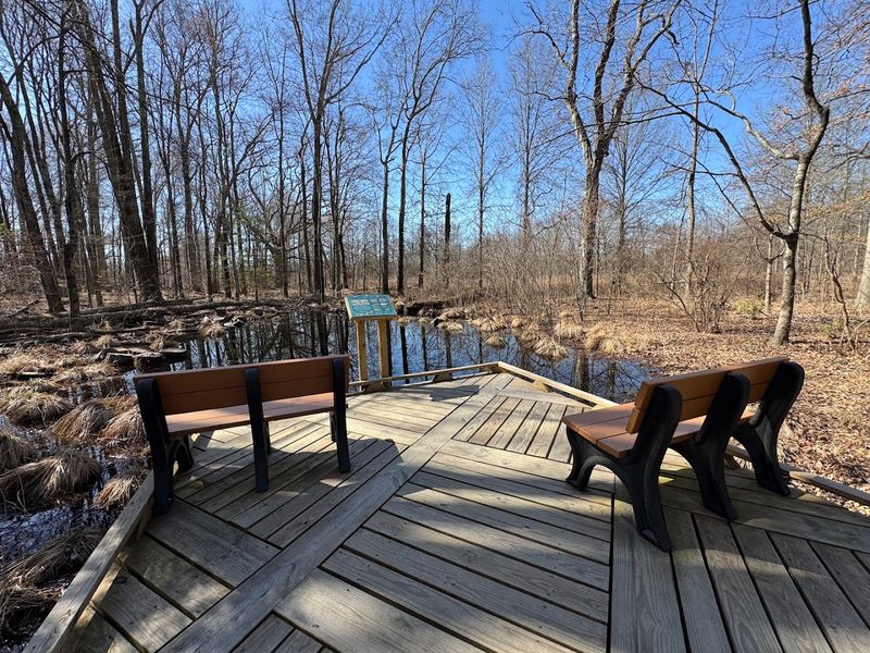 Observation Blinds and the Viewing Platform