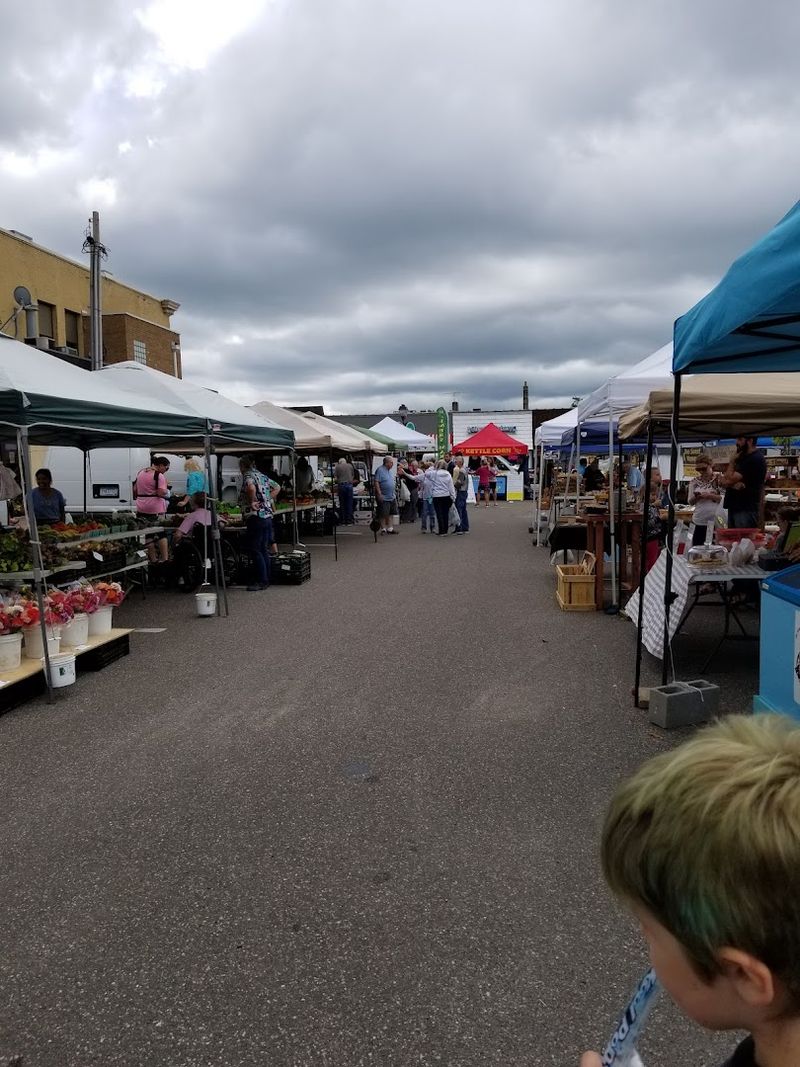 Elk River Flea Market, Elk River, MN
