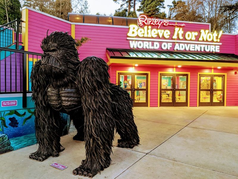 A Newport Bayfront Destination Worth Returning To