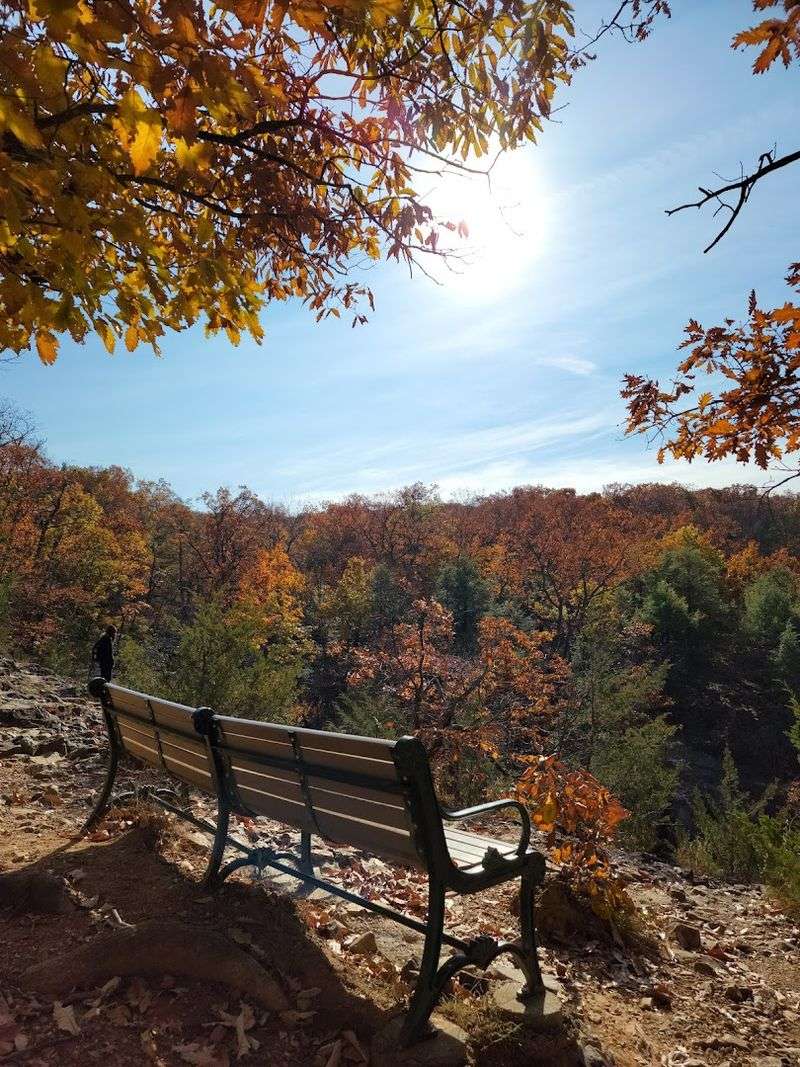 The View From the Top Changes Everything