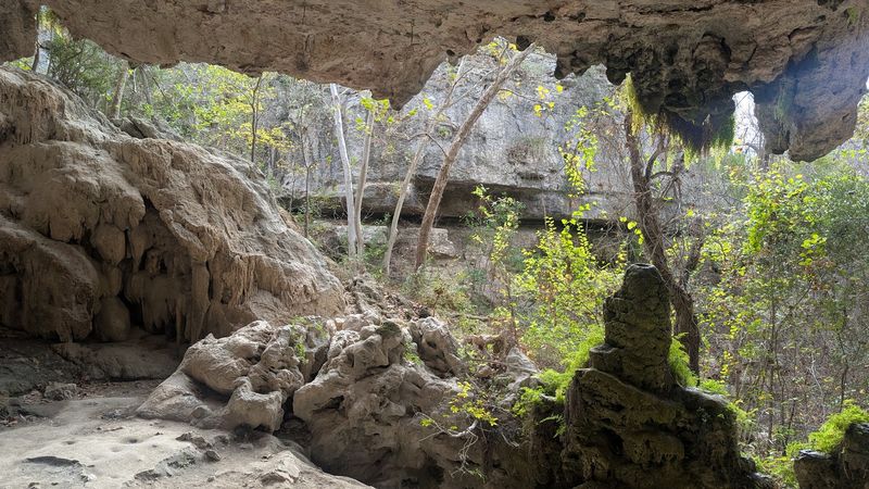 Wildlife And Nature That Reward The Patient Observer