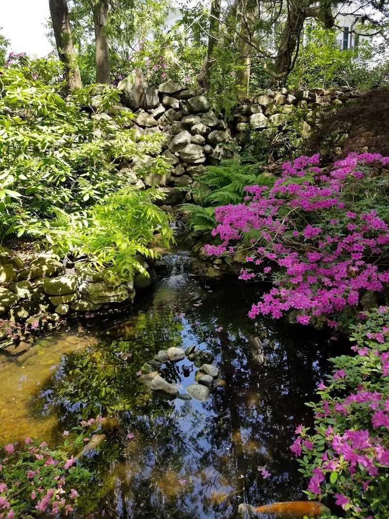 Tulips, Hostas, and the Charm of Spring Arrivals