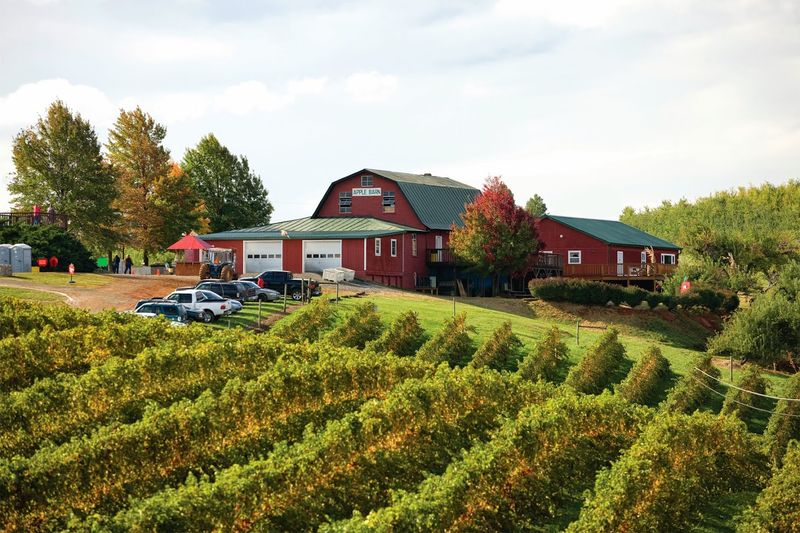 Charlottesville Countryside