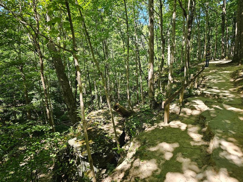 A Shady Path Winding Toward A Hidden Cascade