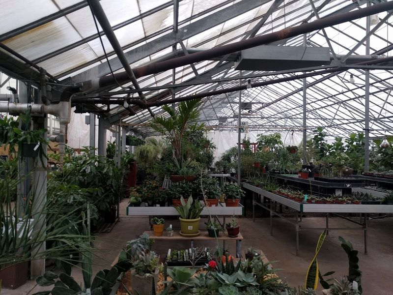 Plant Variety That Will Make Your Head Spin