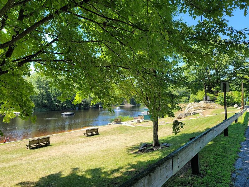 Heaters Pond Park: Where the Forest Asks You to Slow Down