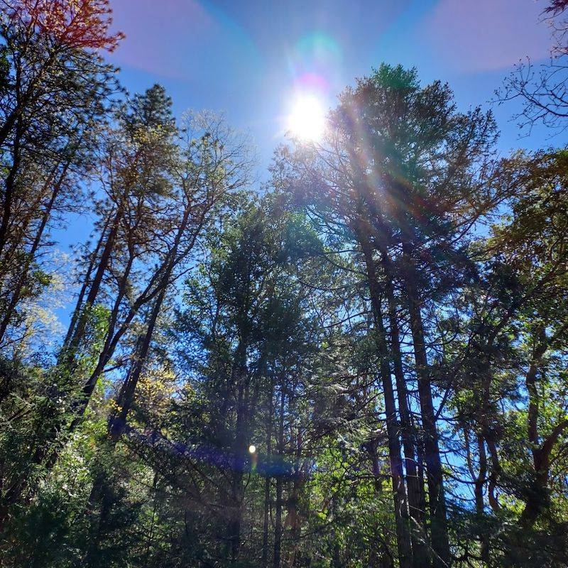 How the Setting Adds to the Magic