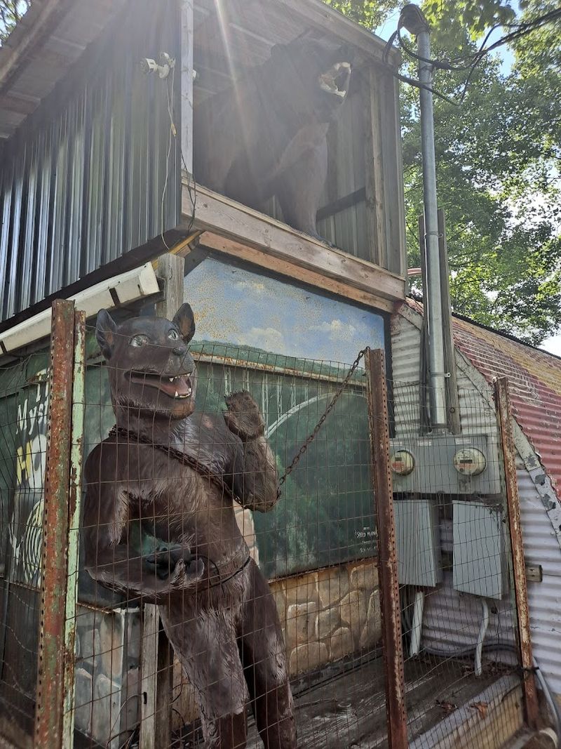 The Campy Style That Became Part Of The Charm