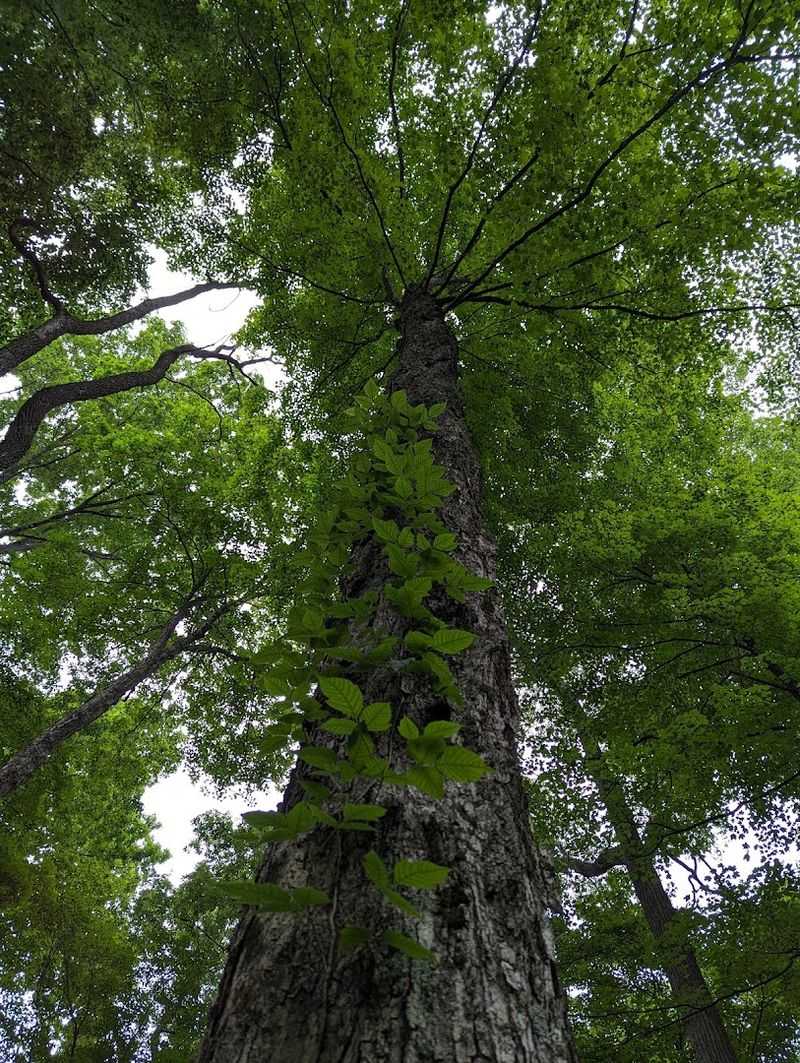 A Trail Named for History Worth Knowing