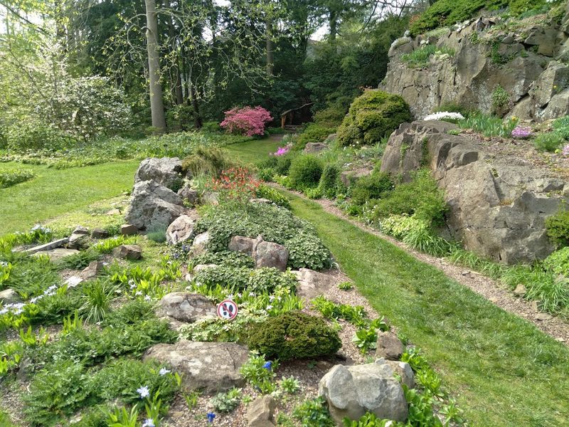 Plant Collections That Span Continents and Climates