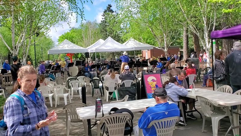 Live Music That Sets the Whole Mood