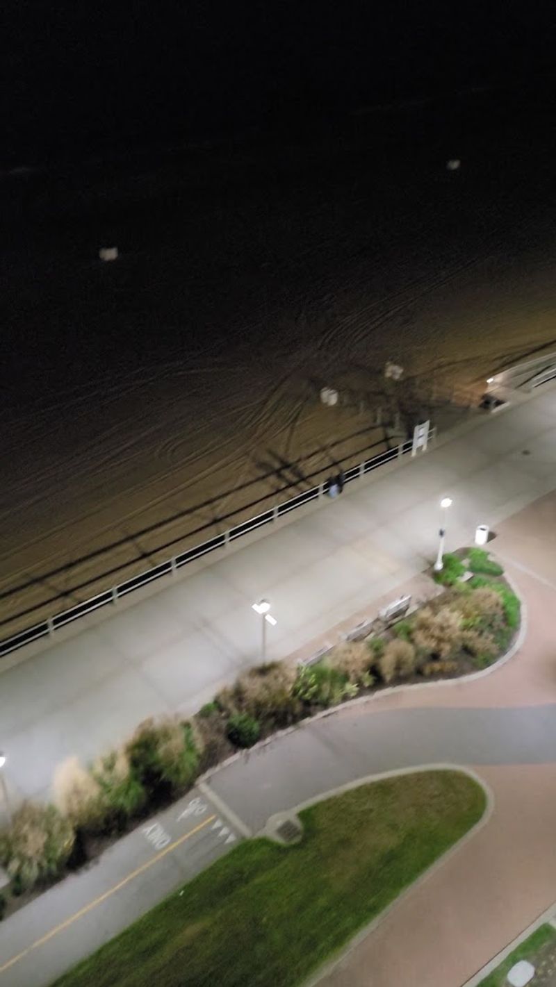 The Oceanfront Hotels and Coastal Stays