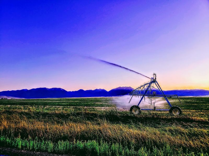 Outdoor Adventures in the Elkhorn Mountains