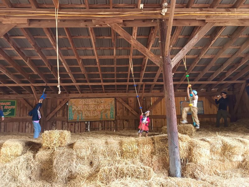 Planning Your Visit to Snead's Farm in Fredericksburg