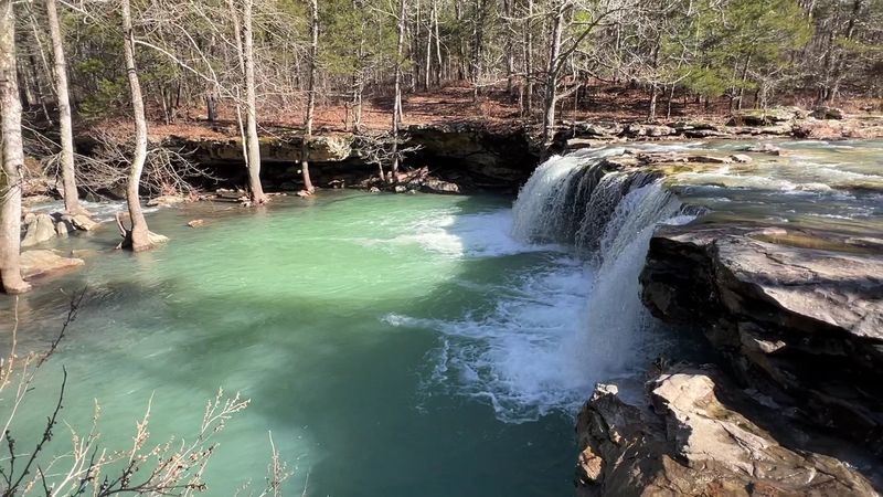 The Perfect Summer Plunge Into Nature’s Own Oasis