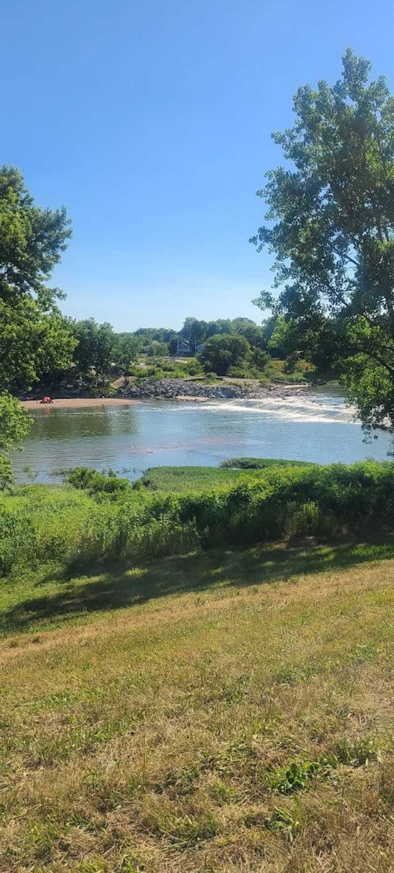 Wildlife That Will Genuinely Surprise You