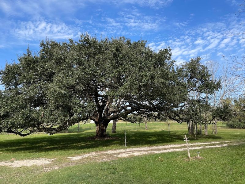 The Matagorda Bay Birdfest and Community Spirit