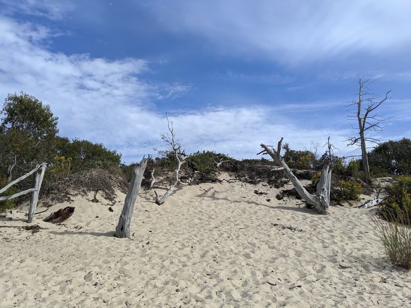 Planning Your Visit to New Jersey's Last Wild Beach