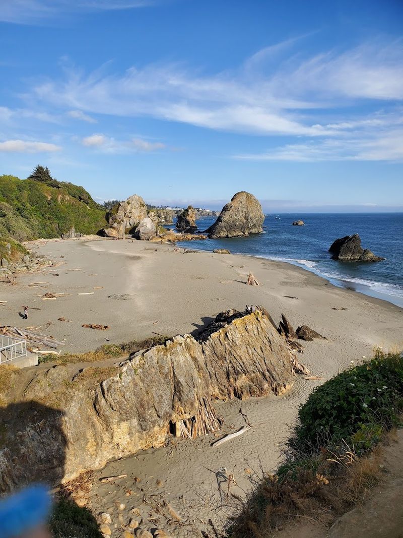 Driftwood, Kelp, and the Raw Character of the Beach