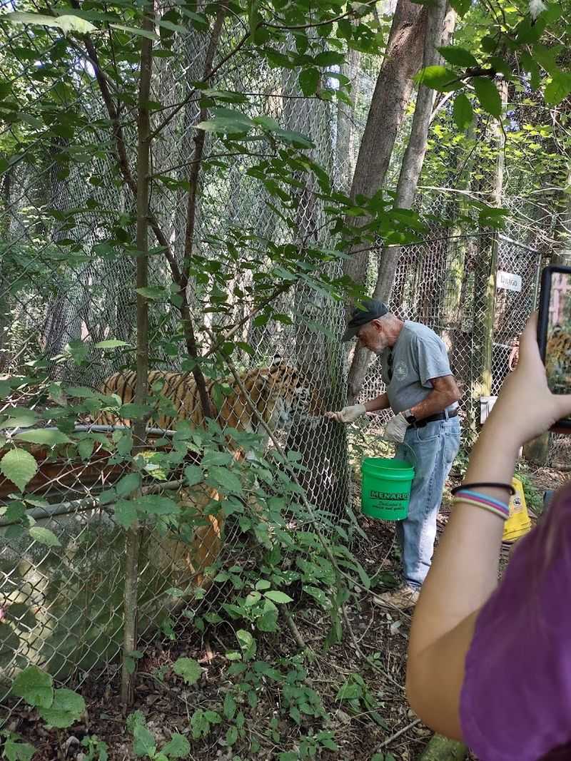 A Family-Friendly Adventure With Real Educational Value