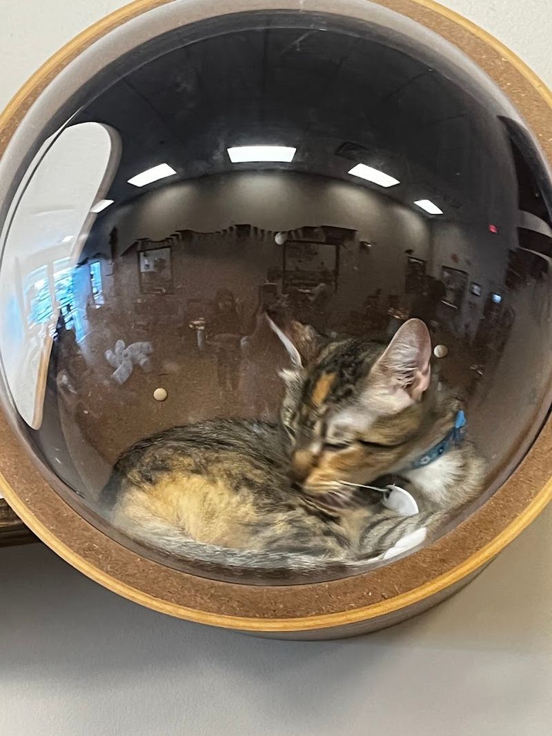 A Naturally Therapeutic Space for Stress Relief and Emotional Wellness