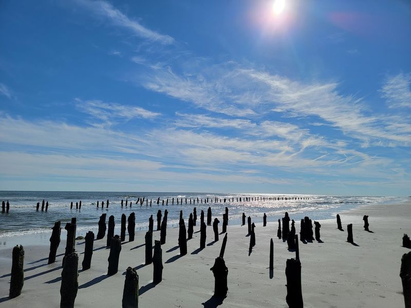 Tidal Marshes That Look Like a Painting