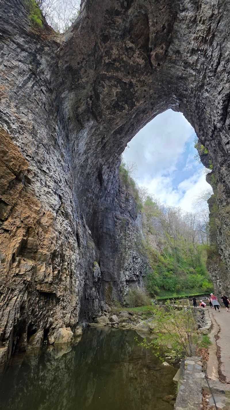 Explore Natural Bridge State Park