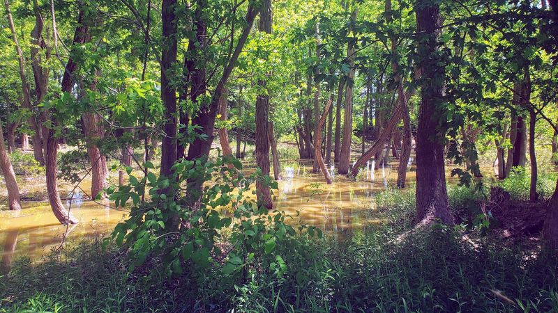 Photography Opportunities Capture Both Wildlife and Historic Architecture