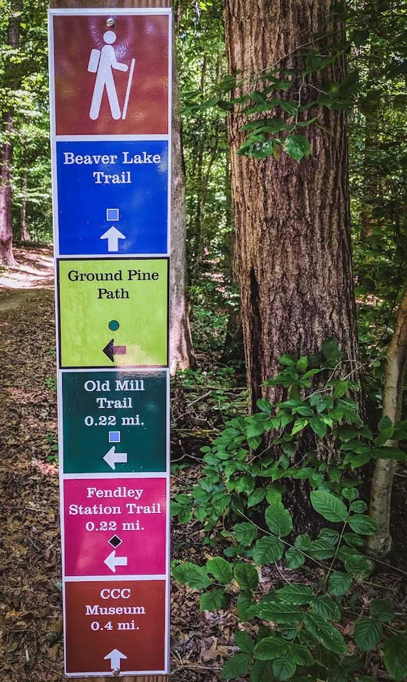 The Poca Go! Race: When the Trails Get Competitive and the Energy Goes Wild