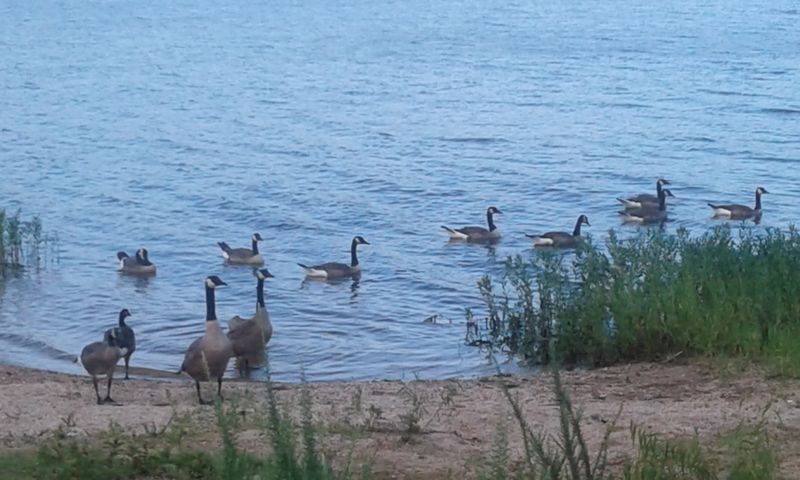 Best Times to Visit Throughout the Year