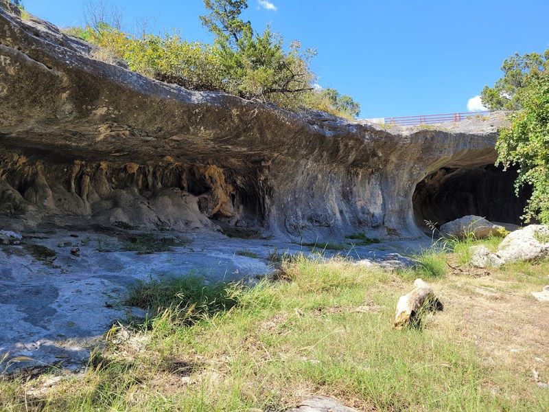 Ancient Petroglyphs Hidden in Plain Sight