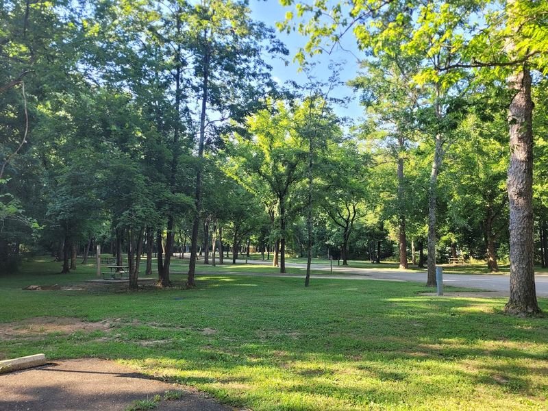 Camping Options That Cover Every Style and Comfort Level