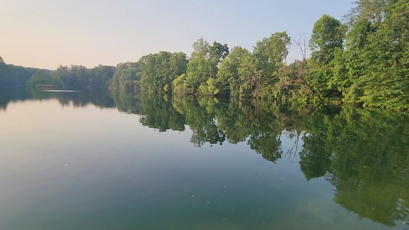 A Hidden World Below the Surface: What Lives Under the Water