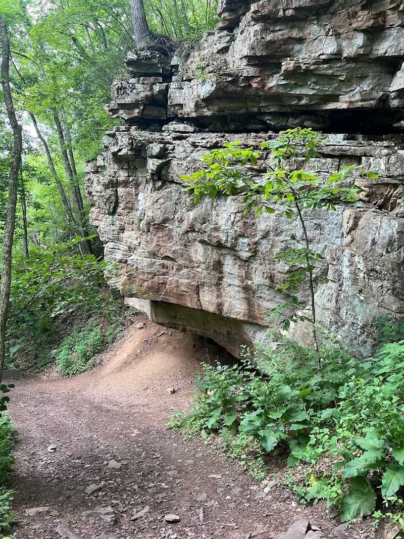 Trail Difficulty and What to Realistically Expect