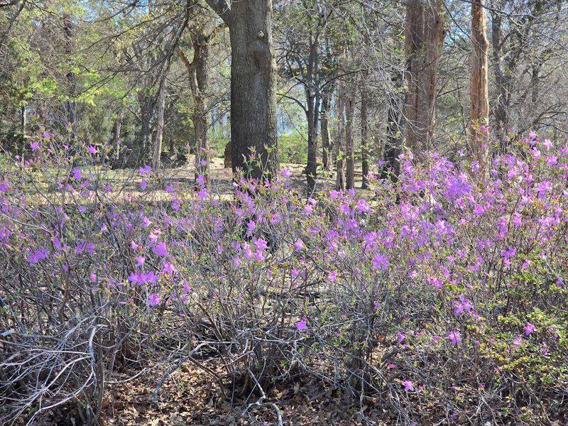 Honor Heights Park, Muskogee, Oklahoma