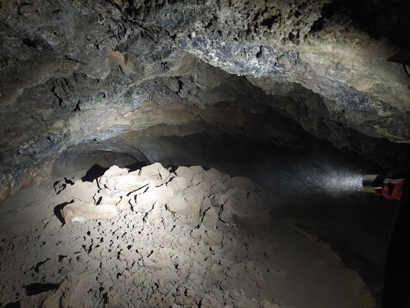 Wildlife and the Quiet World Below