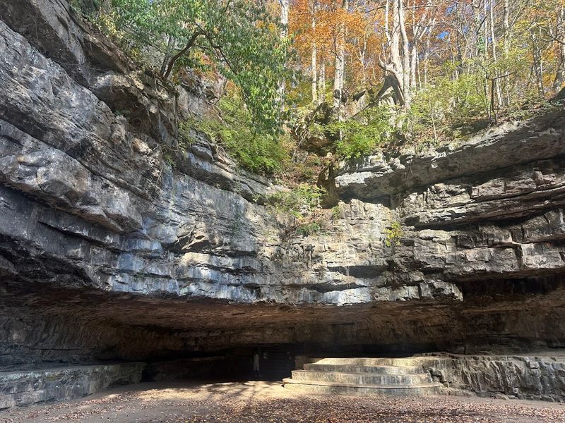 Dunbar Cave (Clarksville)