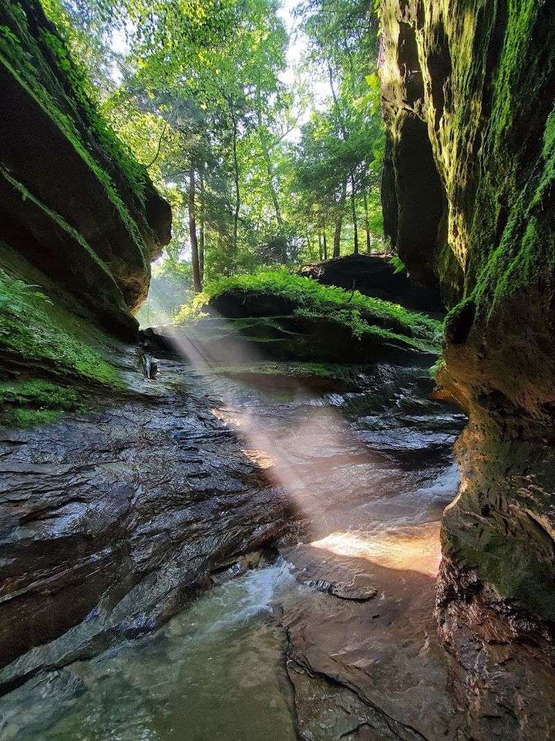 Turkey Run State Park