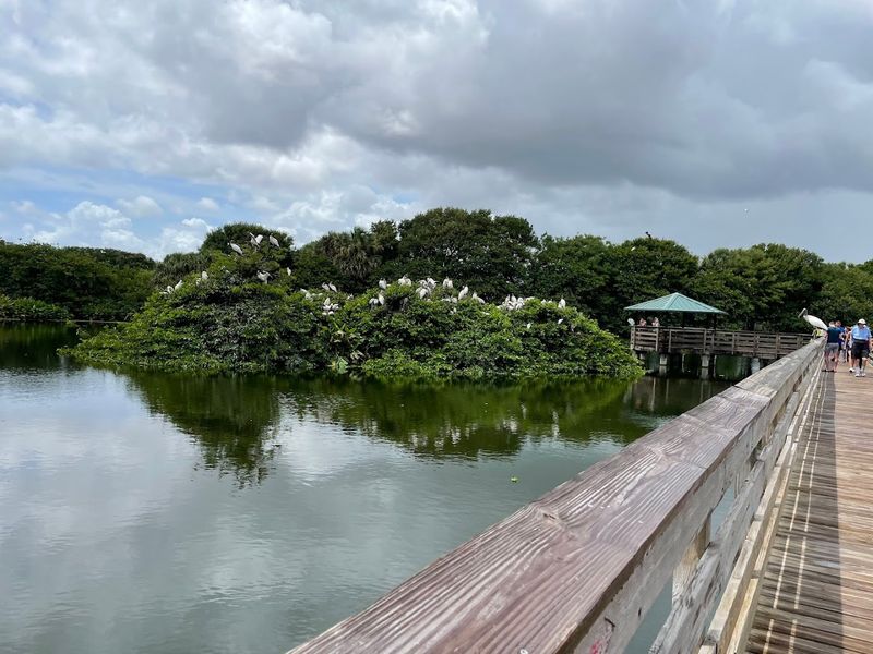 A Free admission Policy That Makes Nature Accessible