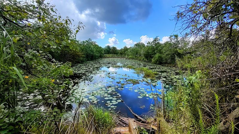 The Stocked Ponds Built Specifically for Families and Kids