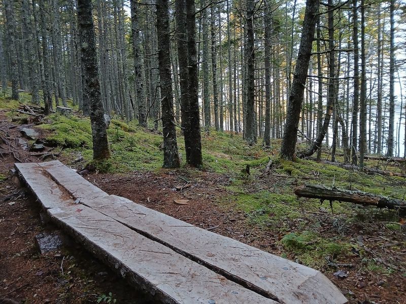 The Only Way Across Is On Foot